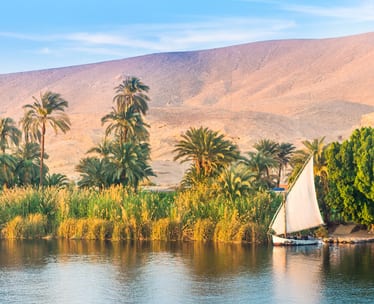 Nile River Cruises